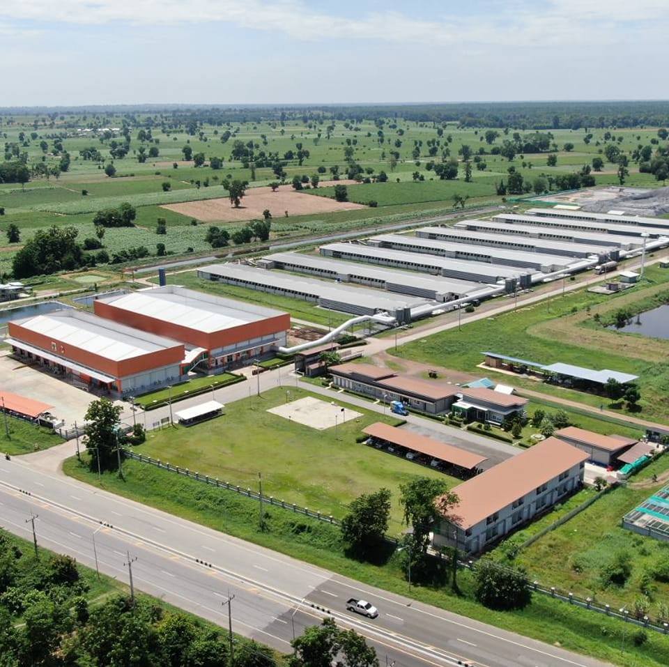 CP Foods Achieves Sustainable Egg Production by Transforming Waste into Renewable Energy CP Foods Achieves Sustainable Egg Production by Transforming Waste into Renewable Energy